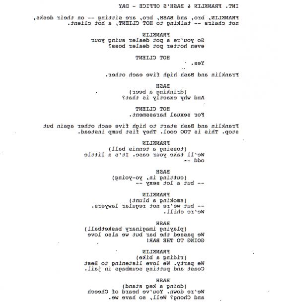 Hvordan skrive et TV-show script. Skisser grunnleggende handlingen eller regler for showet.