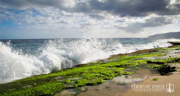 Hvordan finne en rolig strand i Oahu, Hawaii. Tenk på hvorfor du ønsker å være på en rolig strand.